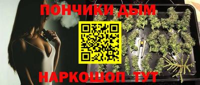 PSILOCYBIN Донской