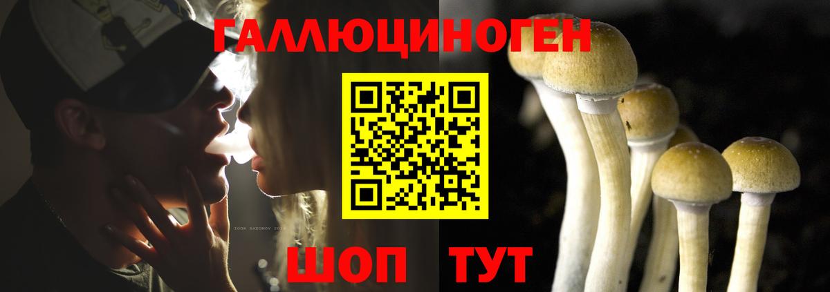 цены наркотик  Вход с VPN  Мелеуз  Галлюциногенные грибы MAGIC MUSHROOMS 